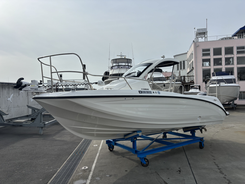 ヤマハ SR-X EX写真