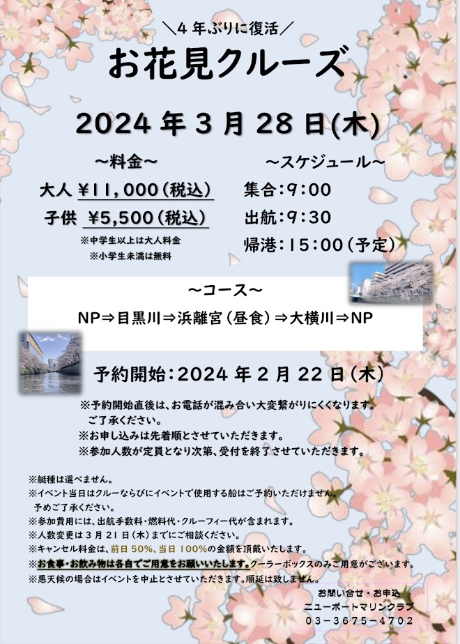 🌸＼4年ぶりに復活！／お花見クルーズ🌸